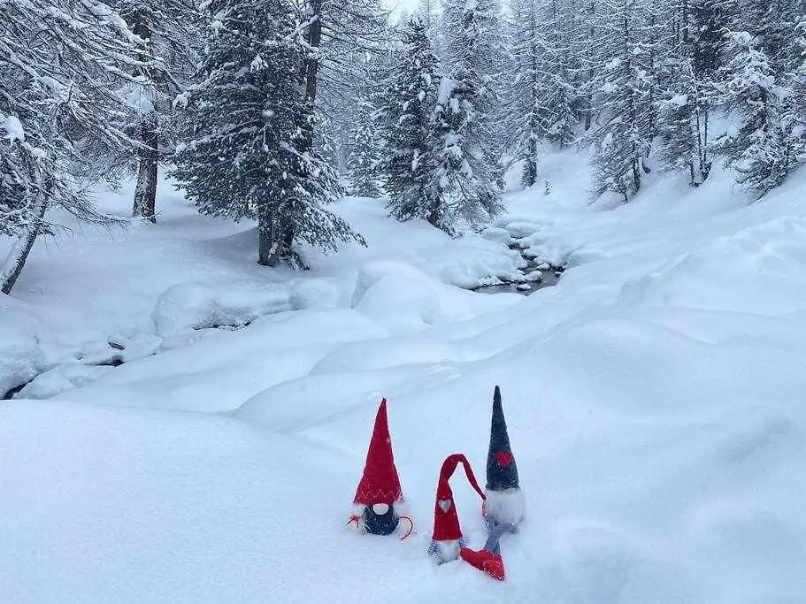Appartamento Gnomo Livigno